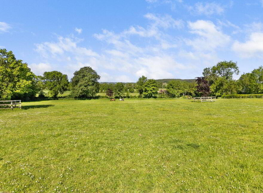 Brookhill On, C.5 67ha ( 14 Acres), Fethard, E91K021