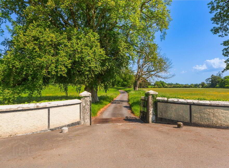 Corbally House, Corbally, Wolfhill, R14TY40