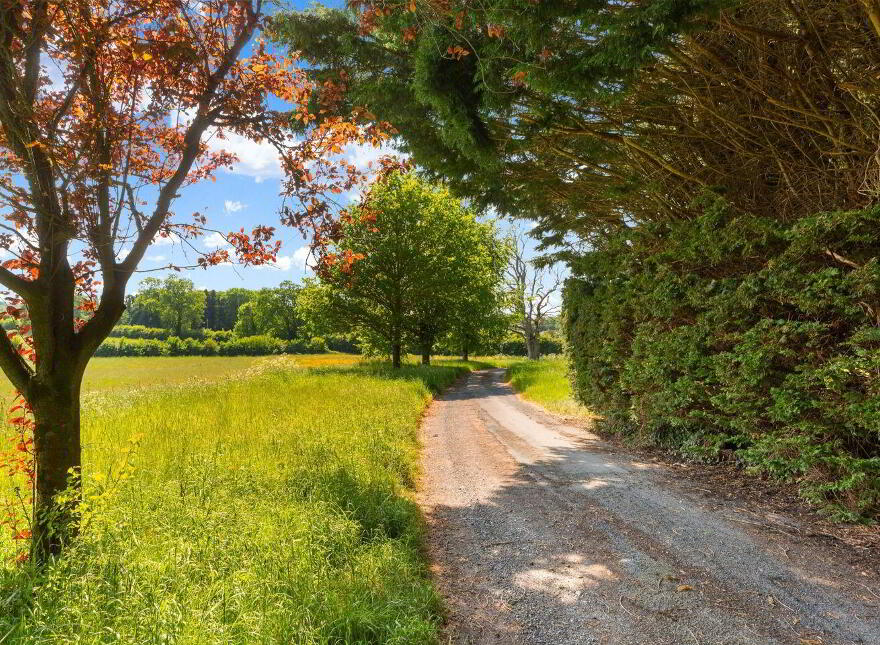 Corbally House, Corbally, Wolfhill, R14TY40