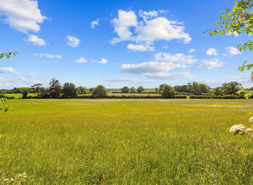 Corbally House, Corbally, Wolfhill, R14TY40