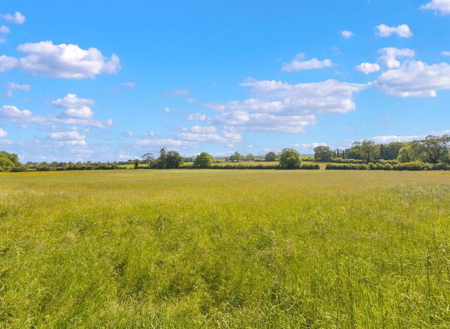 Corbally House, Corbally, Wolfhill, R14TY40