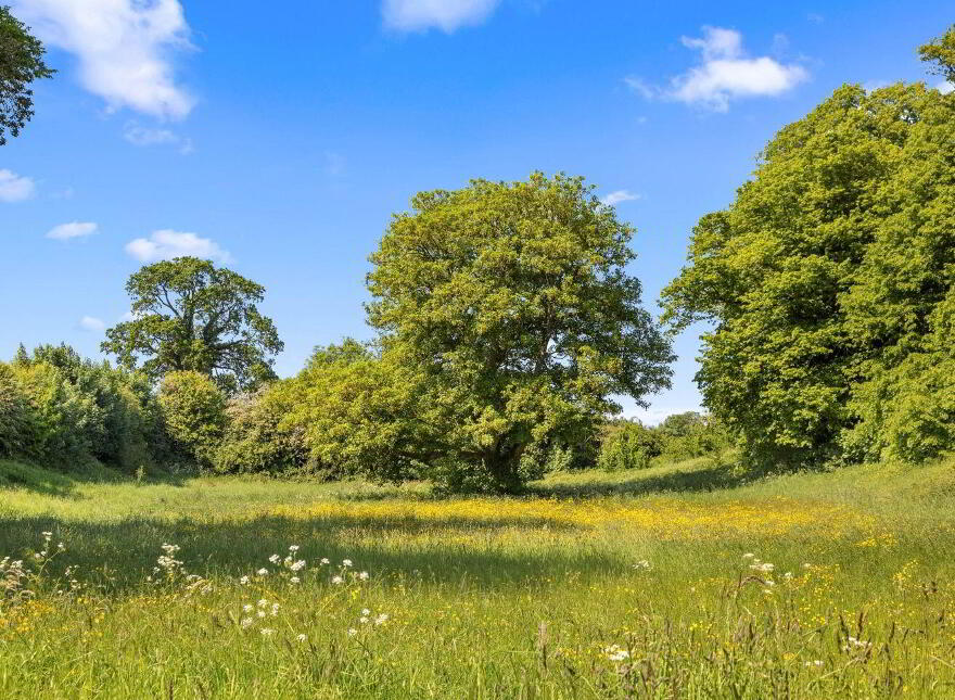 Corbally House, Corbally, Wolfhill, R14TY40