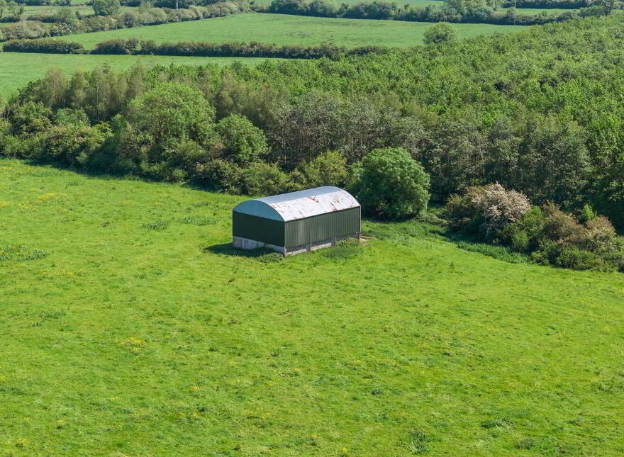 Ballynamuddagh House & Farm, Approx, 62.9 Ha (155, 4 Acres), Dromin, Dromin, V35KW95