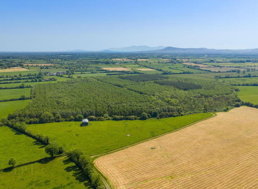 Ballynamuddagh House & Farm, Approx, 62.9 Ha (155, 4 Acres), Dromin, Dromin, V35KW95