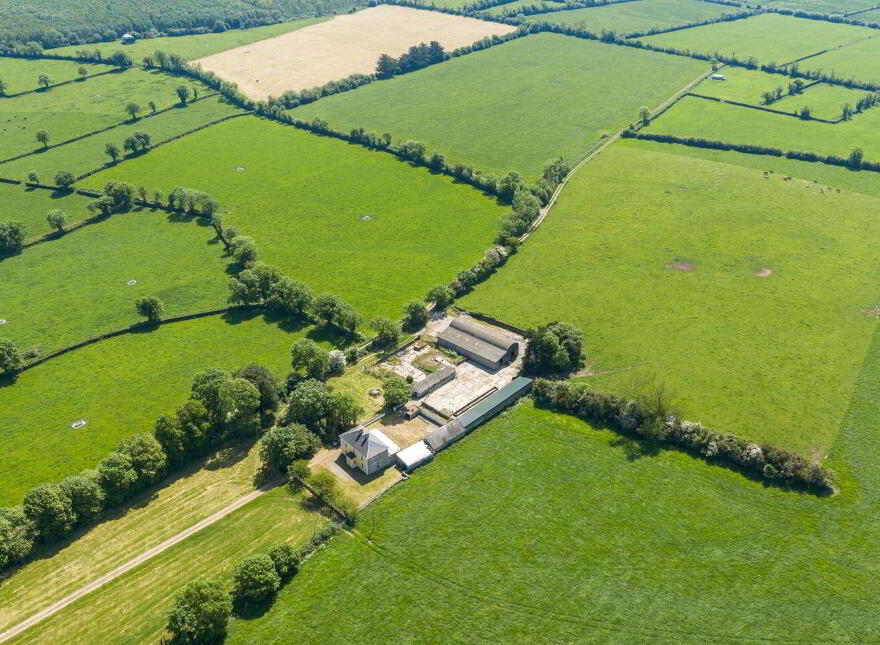 Ballynamuddagh House & Farm, Approx, 62.9 Ha (155, 4 Acres), Dromin, Dromin, V35KW95