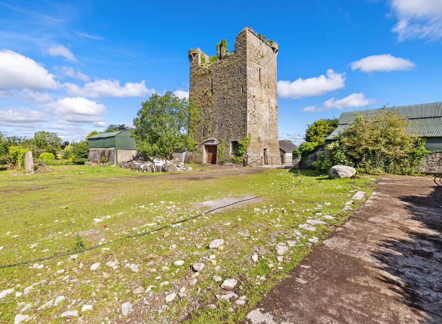 The Castle Country House, Two-Mile Borris, Twomileborris, E41X9D8