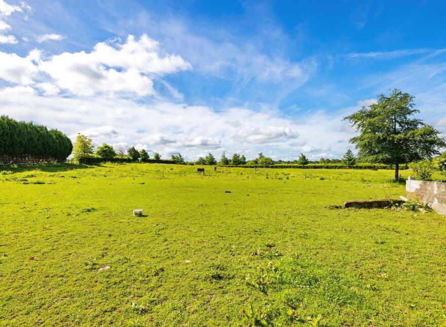 The Castle Country House, Two-Mile Borris, Twomileborris, E41X9D8