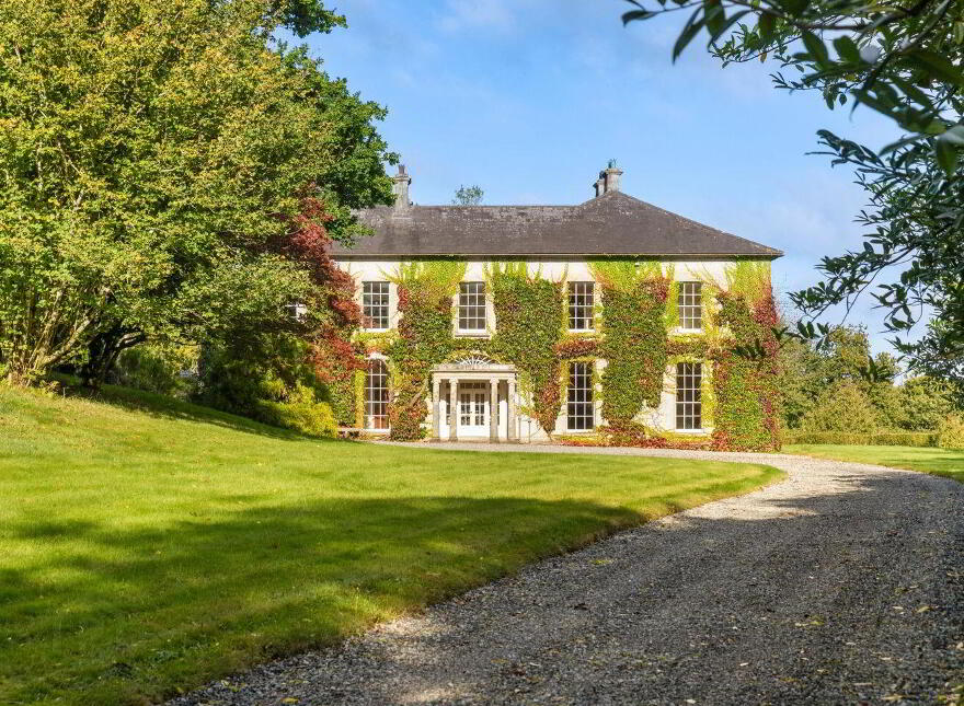 Dysertmore Estate, Inistioge, X91E519 photo