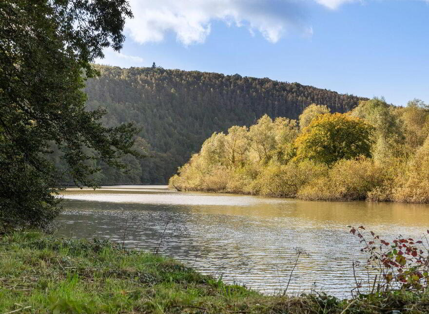 Dysertmore Estate, Inistioge, X91E519