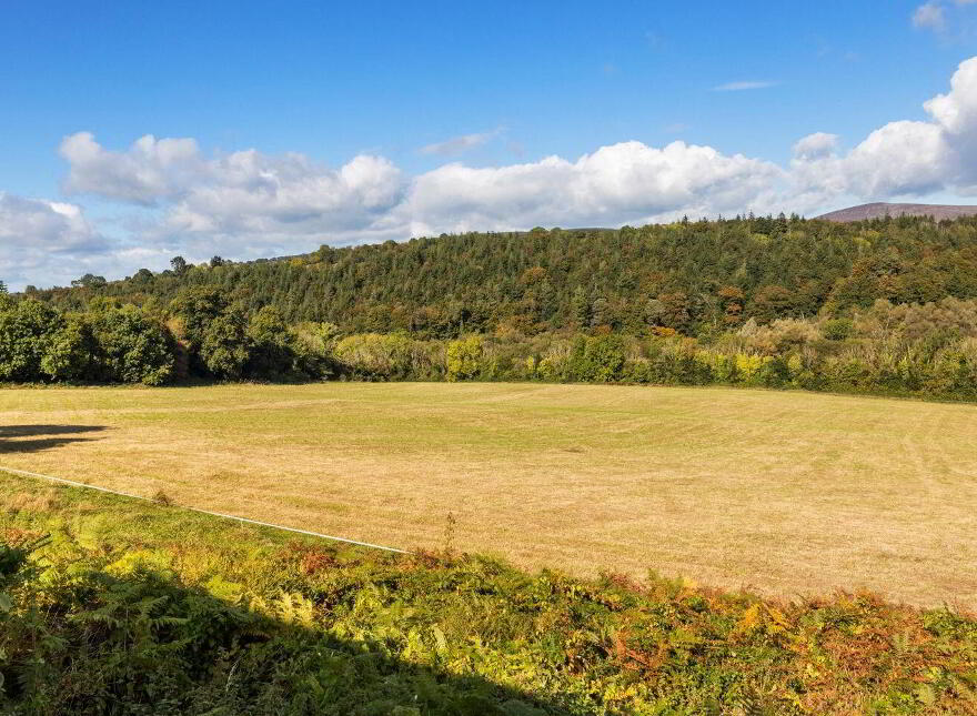 Dysertmore Estate, Inistioge, X91E519