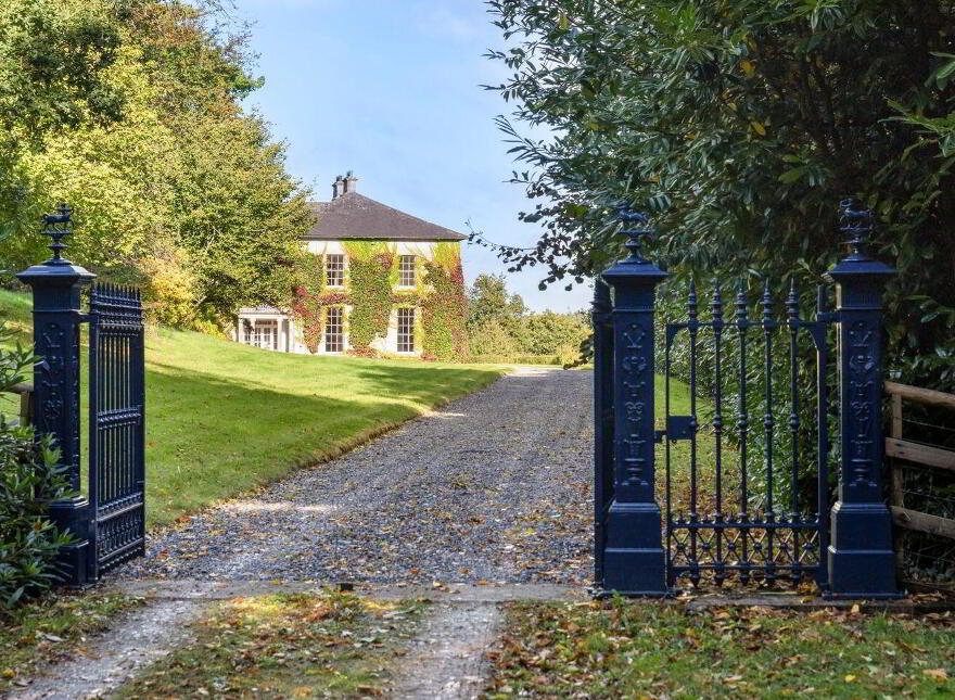 Dysertmore Estate, Inistioge, X91E519
