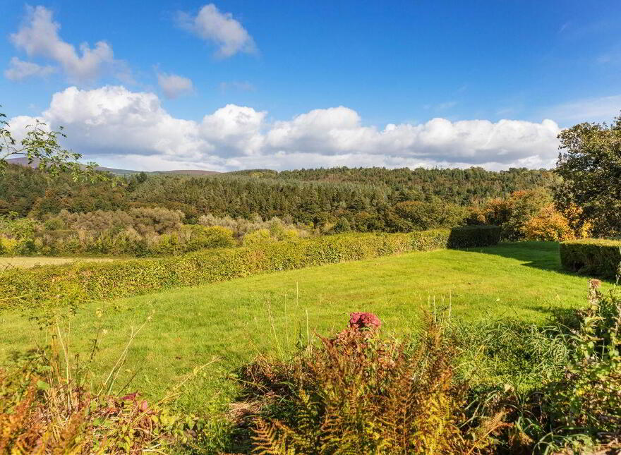 Dysertmore Estate, Inistioge, X91E519