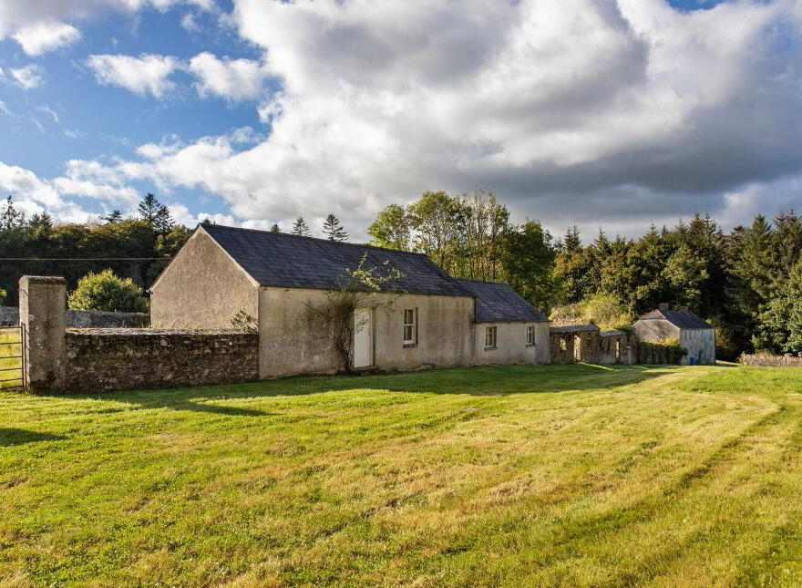 Dysertmore Estate, Inistioge, X91E519