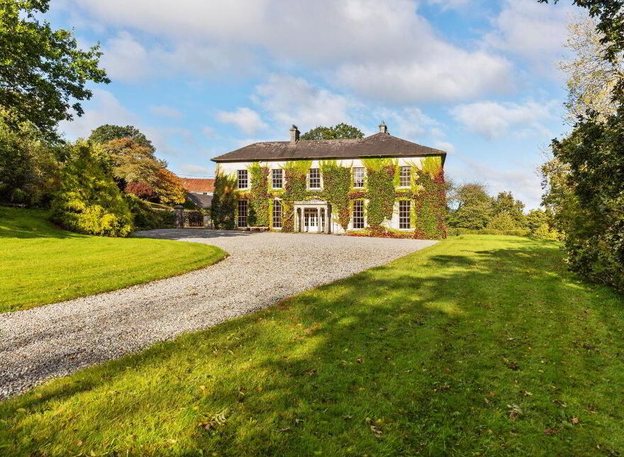 Dysertmore Estate, Inistioge, X91E519