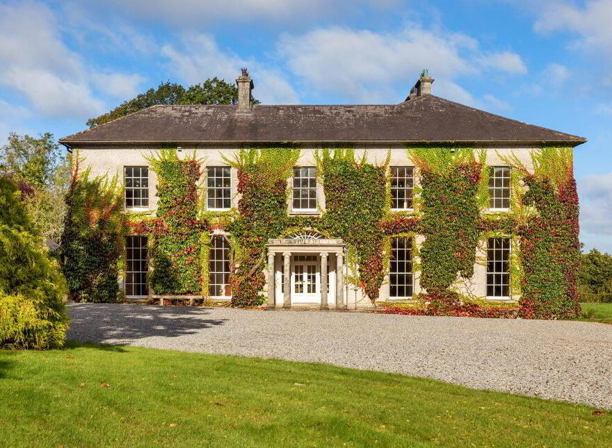 Dysertmore Estate, Inistioge, X91E519