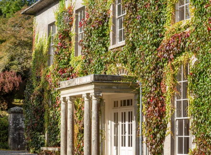 Dysertmore Estate, Inistioge, X91E519