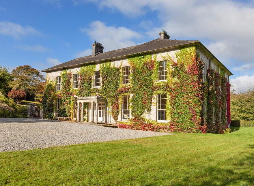 Dysertmore Estate, Inistioge, X91E519
