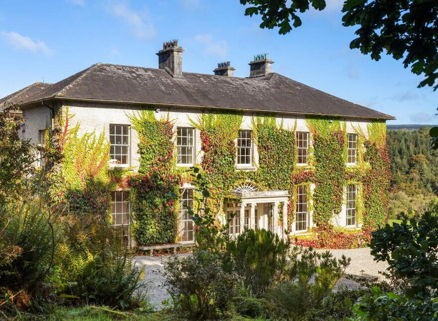 Dysertmore Estate, Inistioge, X91E519