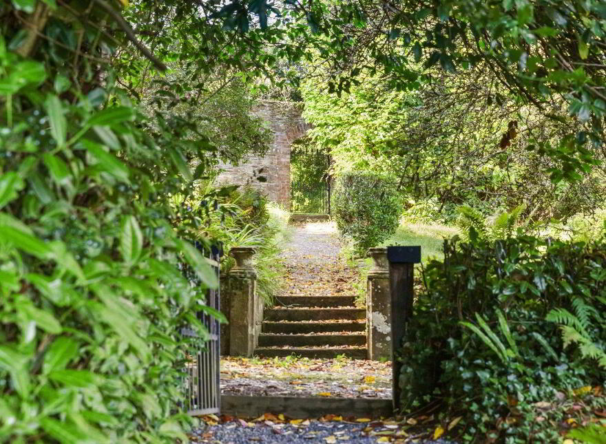 Dysertmore Estate, Inistioge, X91E519
