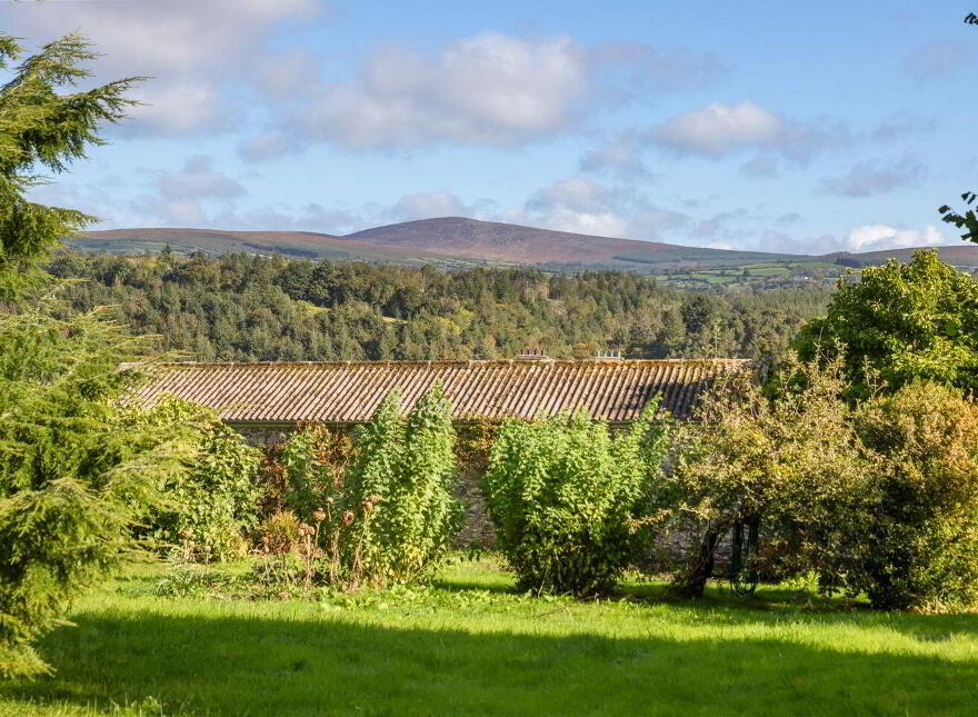 Dysertmore Estate, Inistioge, X91E519