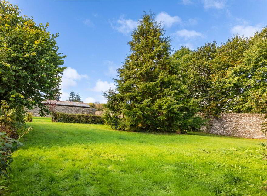Dysertmore Estate, Inistioge, X91E519