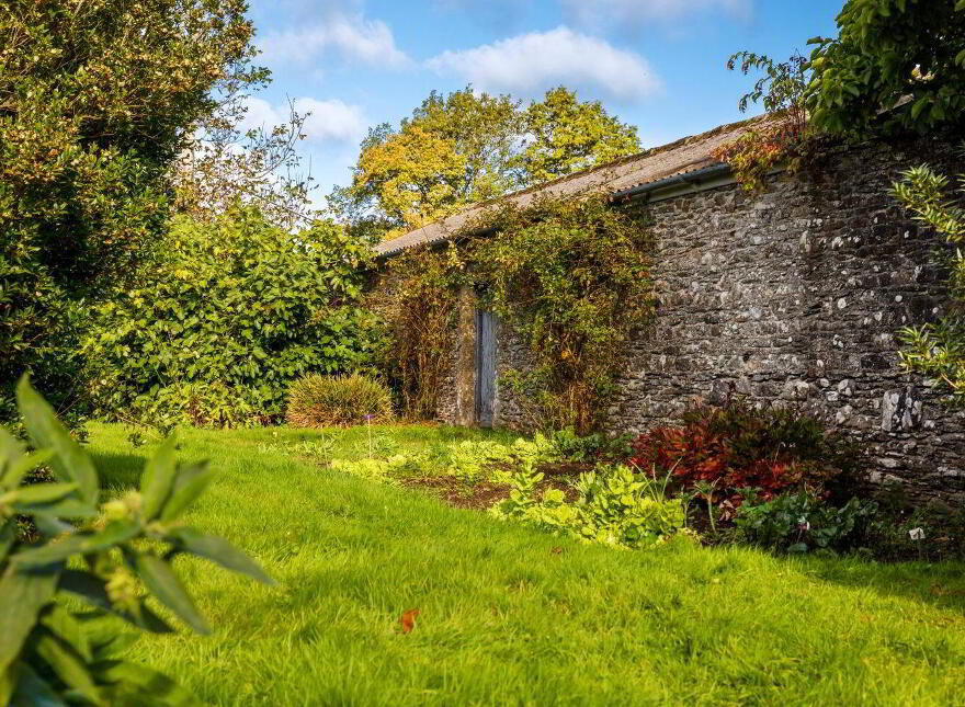 Dysertmore Estate, Inistioge, X91E519