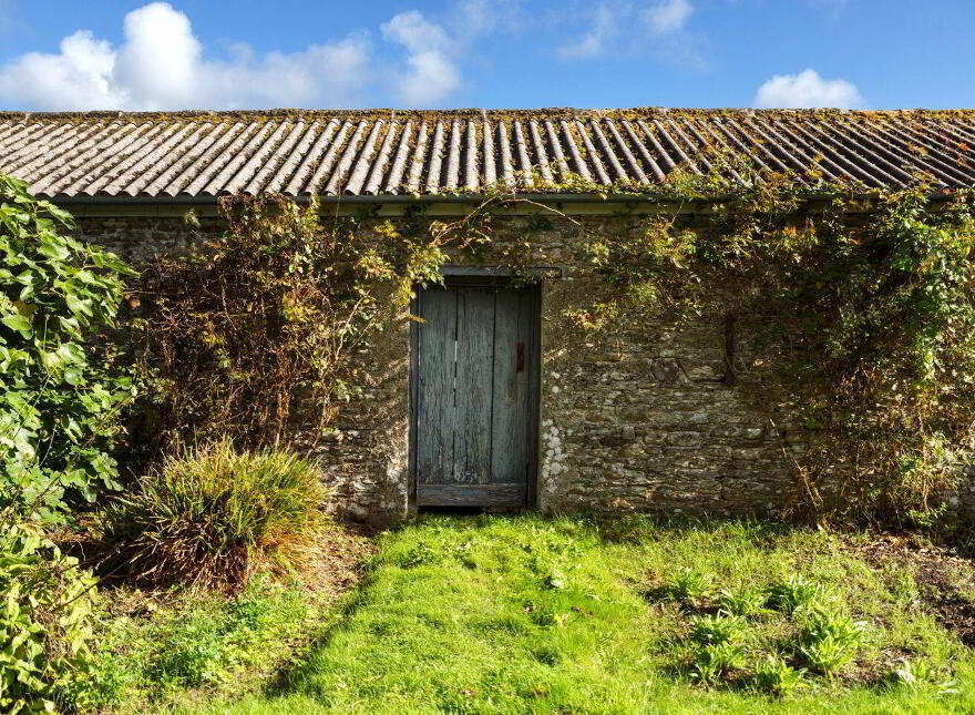 Dysertmore Estate, Inistioge, X91E519