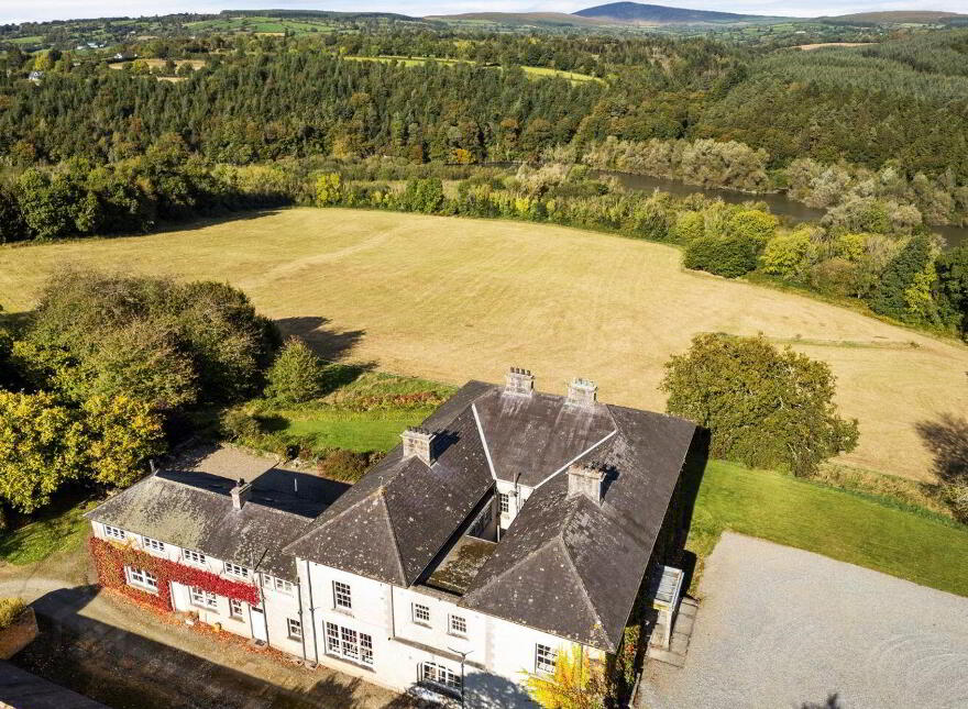 Dysertmore Estate, Inistioge, X91E519
