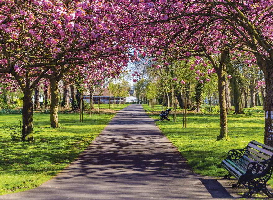 Melfort, 19 Shrewsbury Road, Ballsbridge, Ballsbridge, D04T0H7