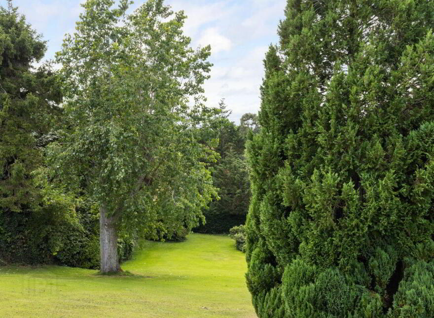 Carrabawn, 4 Sunnyhill Park, Cabinteely, Cabinteely, D18H9W6