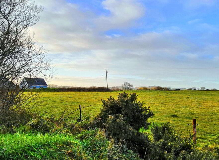 Ardea, Dunmanway photo
