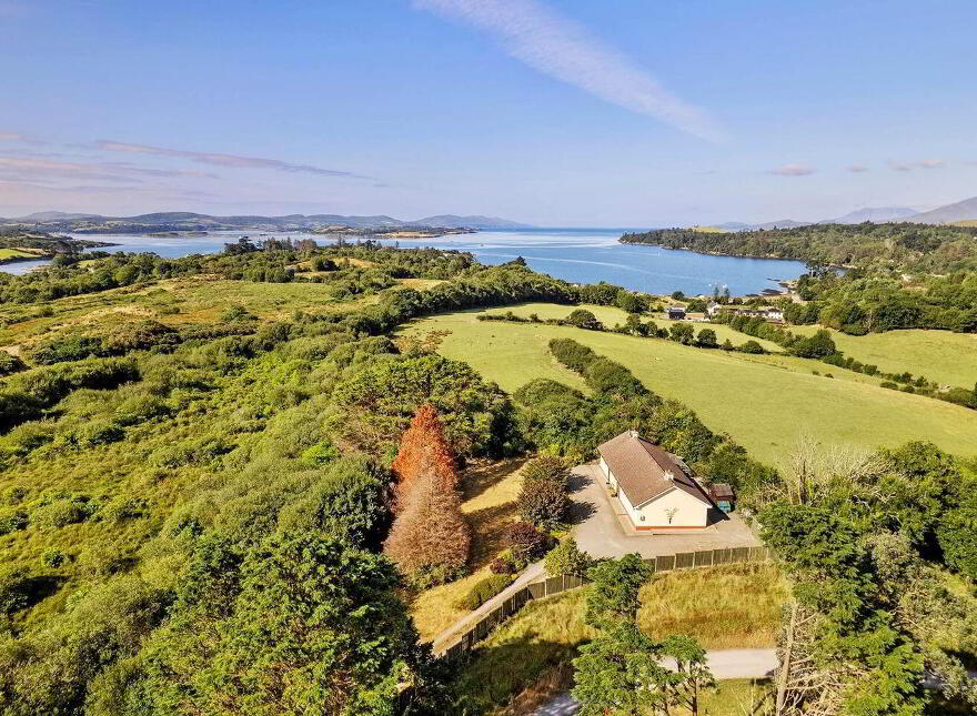 Spindle Wood, Dromkeal, Ballylickey, P75WR88
