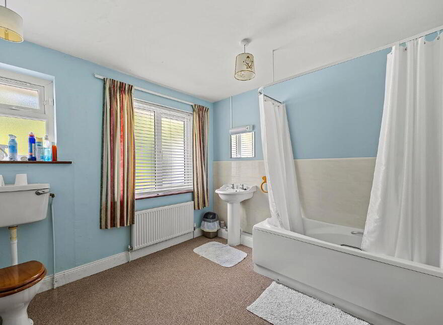 Spindle Wood, Dromkeal, Ballylickey, P75WR88