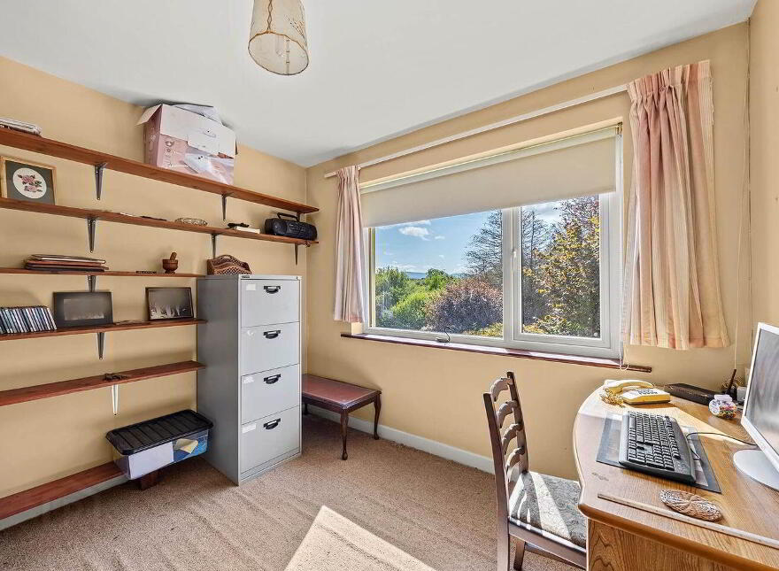 Spindle Wood, Dromkeal, Ballylickey, P75WR88