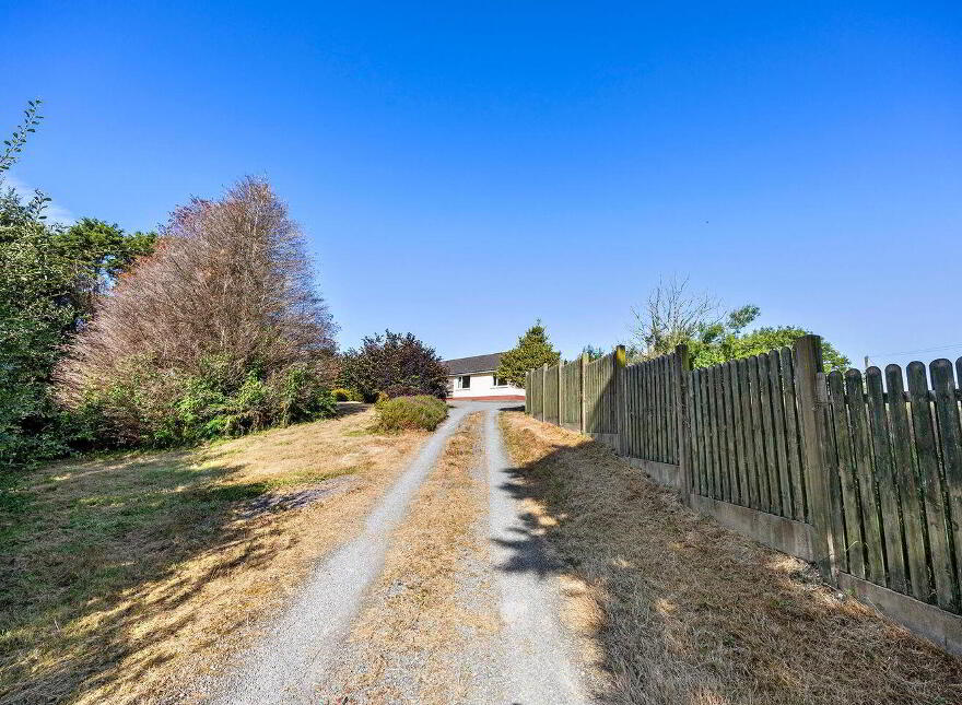 Spindle Wood, Dromkeal, Ballylickey, P75WR88