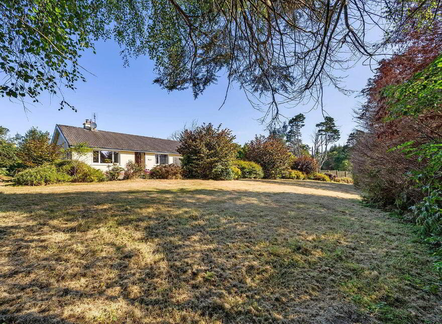 Spindle Wood, Dromkeal, Ballylickey, P75WR88