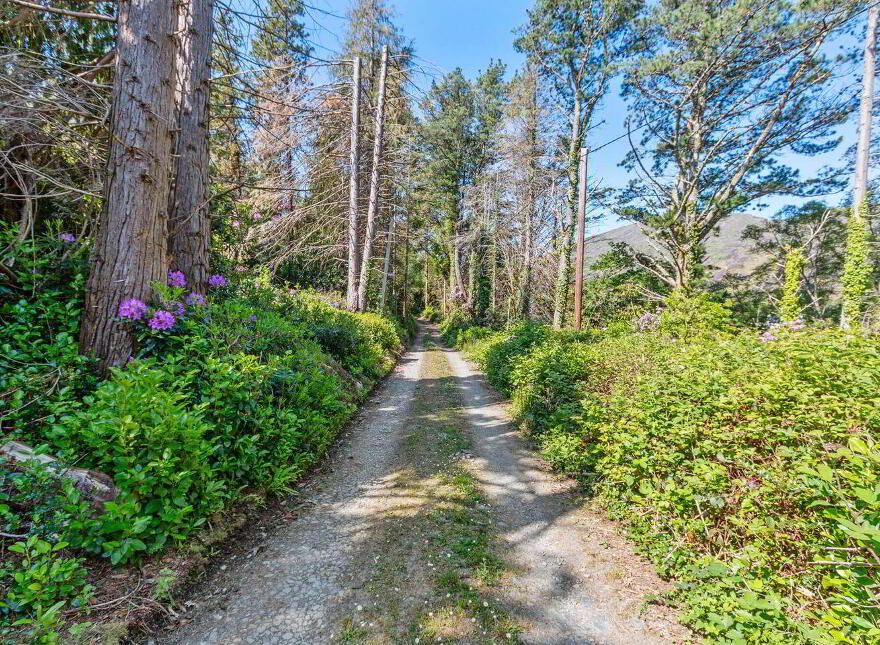 Brylands, Inchintaggart, Glengarriff, P75NA06