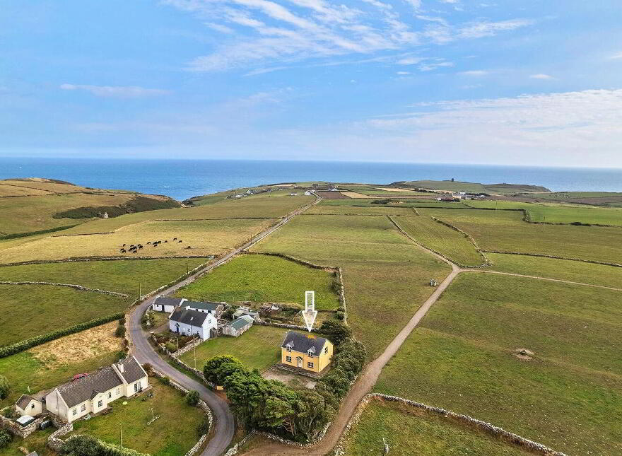 Ballymacshoneen, Butlerstown, Butlerstown, P72CX37 photo