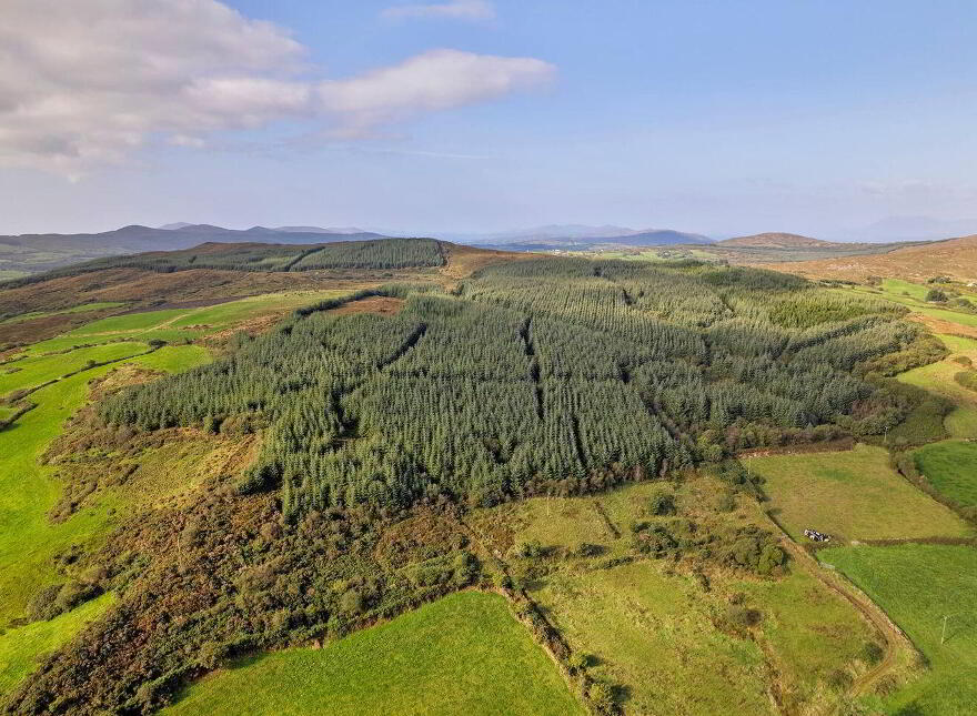 Colomane, Aghaville, P75EF61