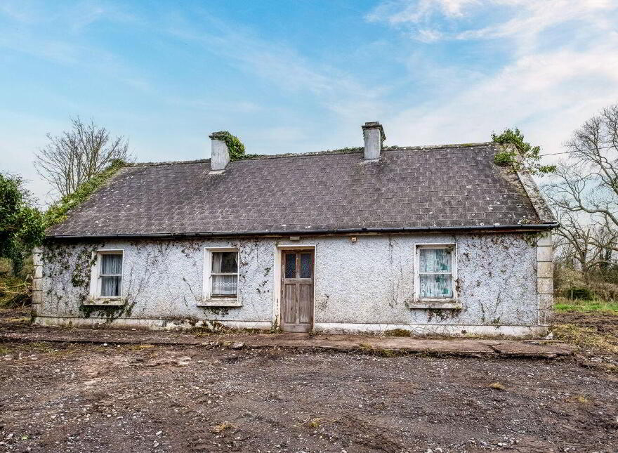 Graigueagowan, Portumna