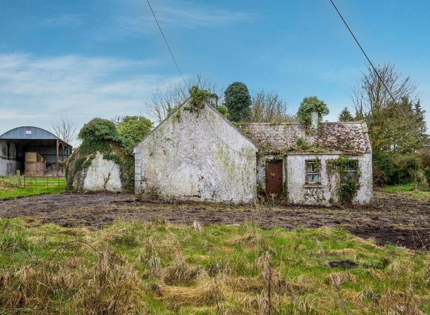 Graigueagowan, Portumna