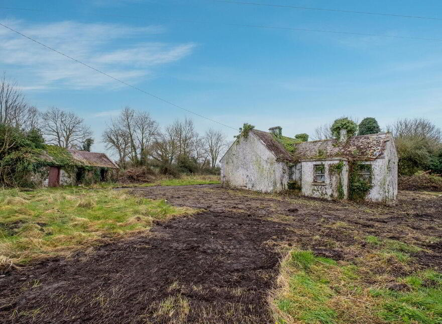 Graigueagowan, Portumna