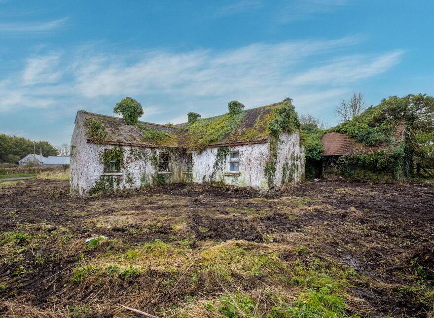 Graigueagowan, Portumna