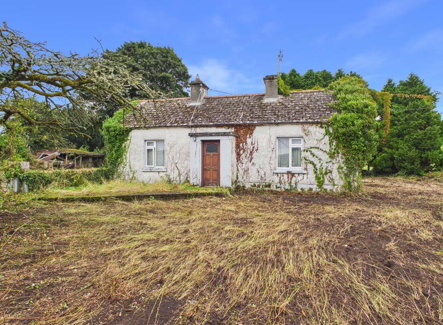 Lorrha, Lorrha, E45NV63 photo
