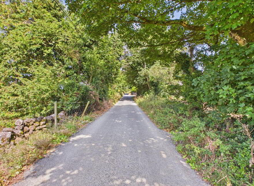 Moyleen, Loughrea, H62PY06