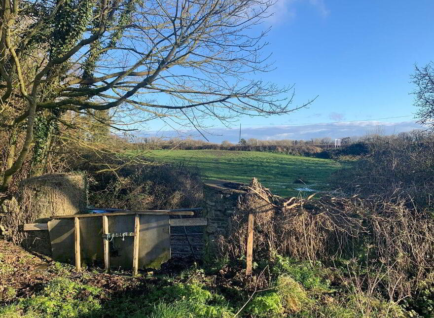 Ballinlig, Clonmellon