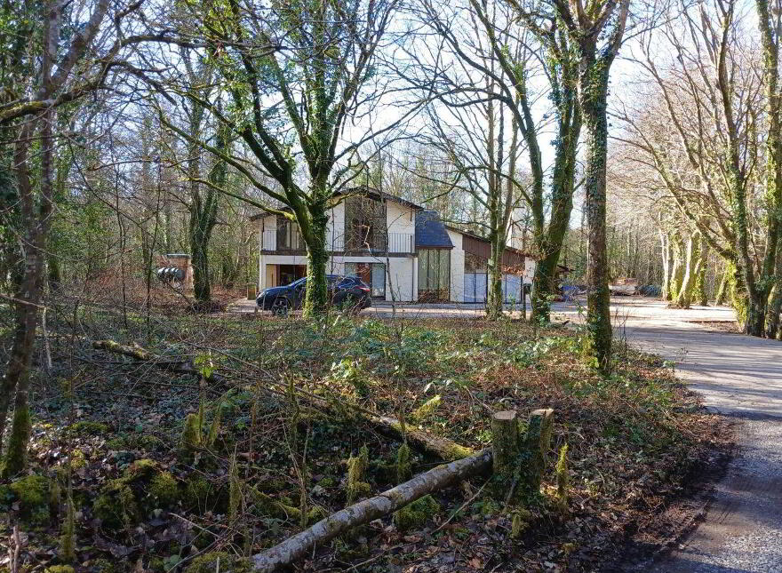 The Wood, Ballynahalla, Moycullen, H91HP71
