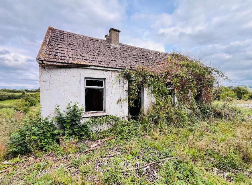 Garrynalyna, Galbally photo
