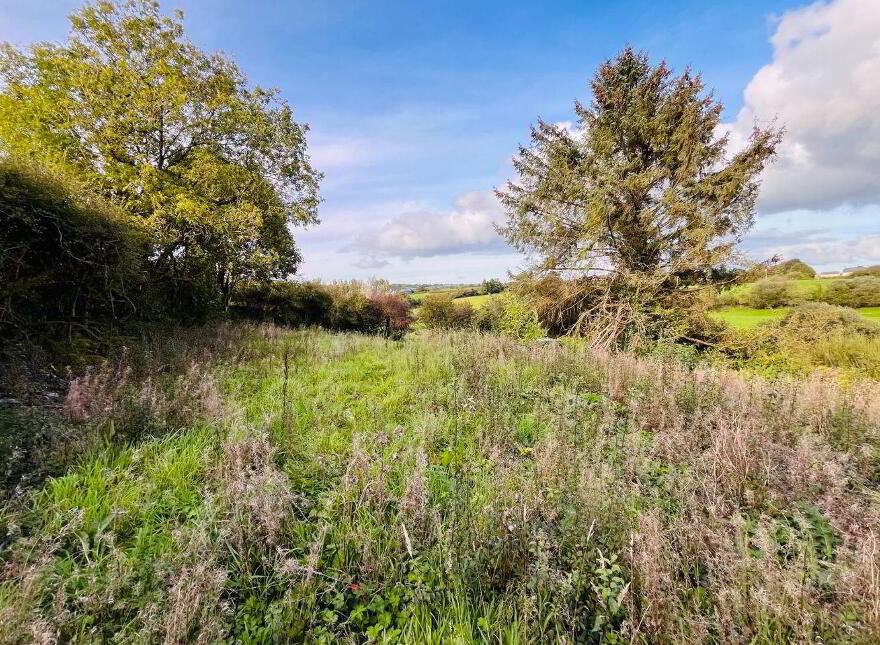 Garrynalyna, Galbally