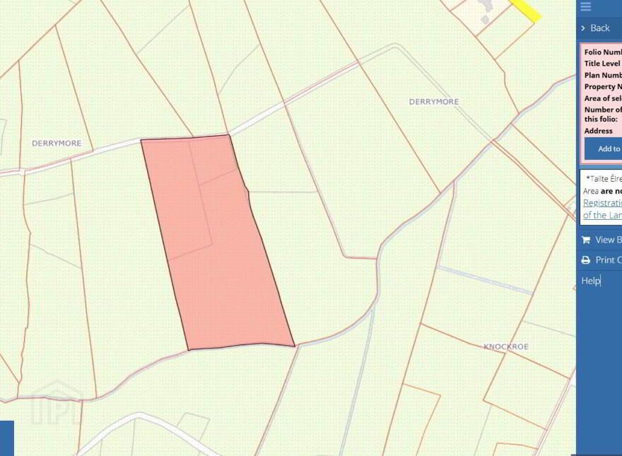 Derrymore, Ballyhaunis